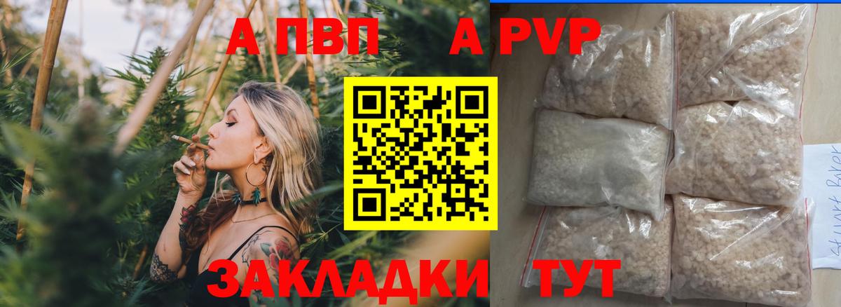 Курчалой  магазин продажи наркотиков  A-PVP СК КРИС  Вход с VPN  Alpha-PVP  A-PVP СК  APVP кристаллы 