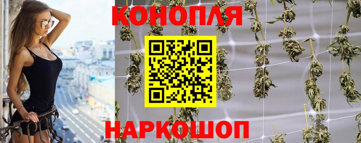 Канабис конопля Курчалой